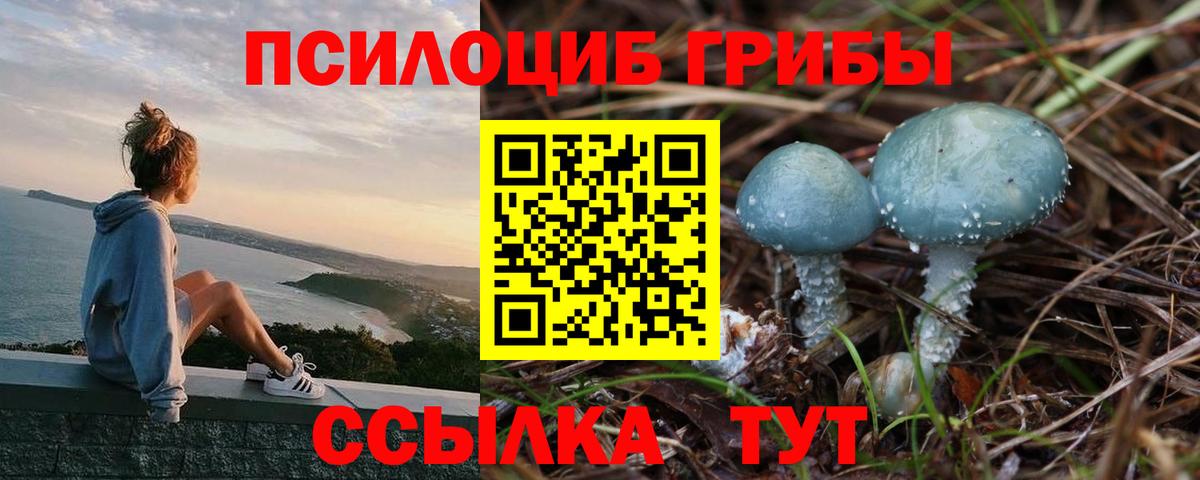 Псилоцибиновые грибы прущие грибы  Вход с VPN  Салават  Псилоцибиновые грибы Cubensis 