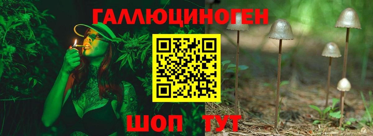 Псилоцибиновые грибы мицелий Салават